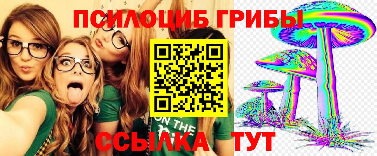 Псилоцибиновые грибы GOLDEN TEACHER  Вход с VPN  Заволжье 